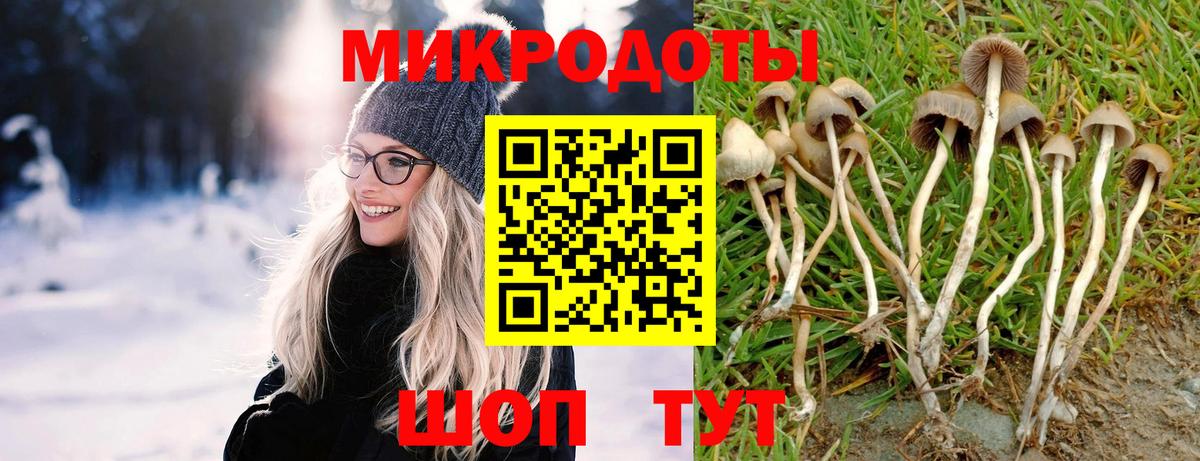 Муром  Псилоцибиновые грибы ЛСД  Вход с VPN 